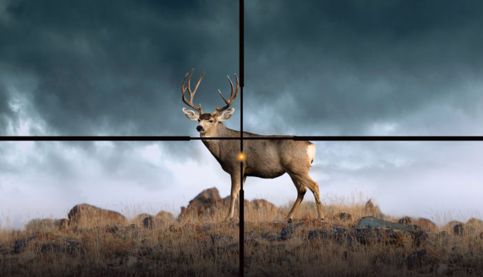 Depiction of a buck seen through the SIG SAUER BDX Rangefinder and Riflescope system retical.
